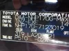 7123019 (1)