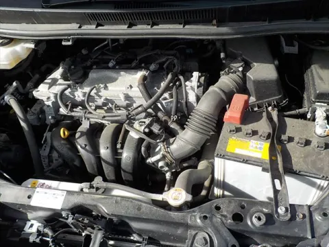 529818 (13)