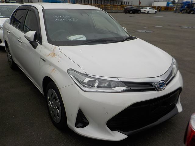 TOYOTA  AXIO HYBRID G 2019 WHITE